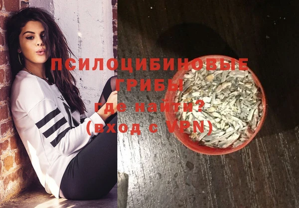 экстази Михайлов