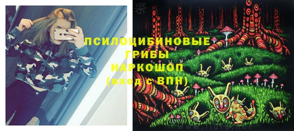 соль курить ск Михайловск