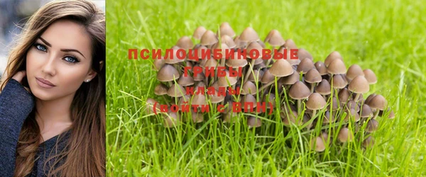 экстази Михайлов