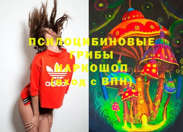 экстази Михайлов