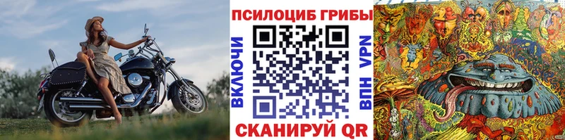 Галлюциногенные грибы MAGIC MUSHROOMS  Павловская 